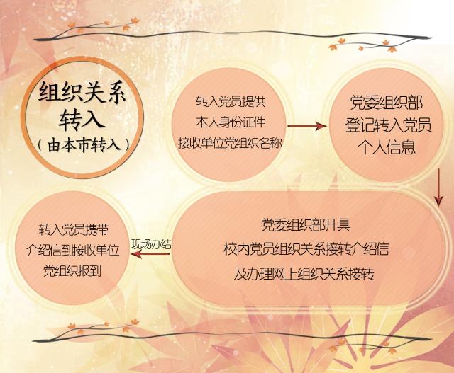 2026世界杯官网