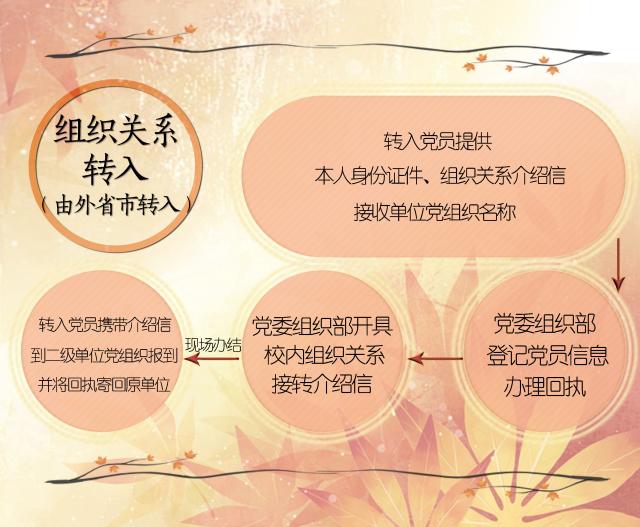 2026世界杯官网